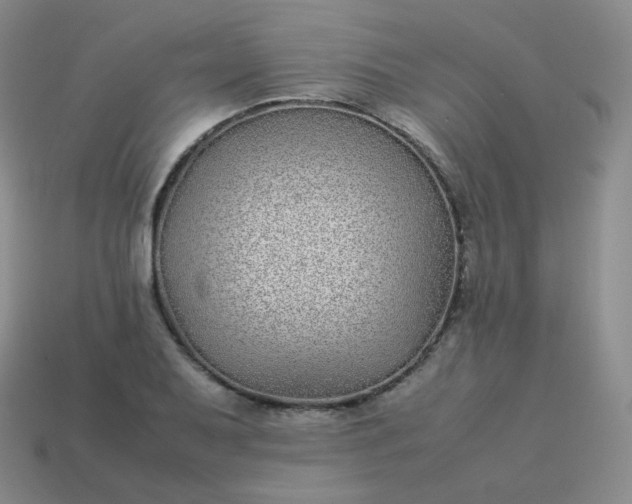 X0000113911079200910081845