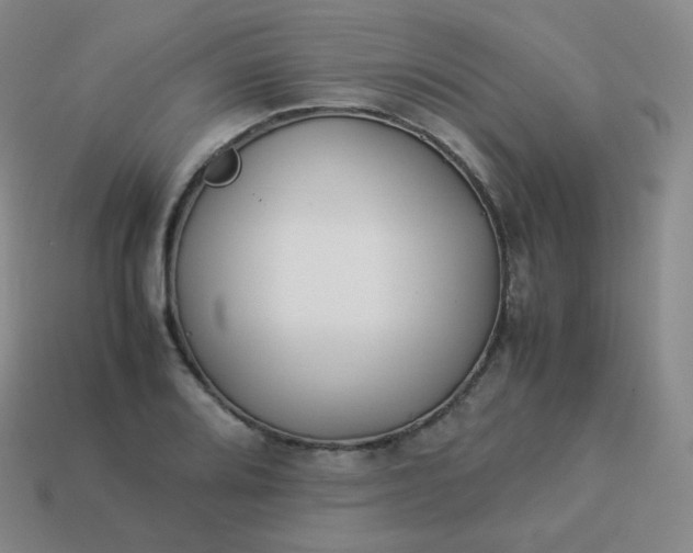 X0000113911080200910081845