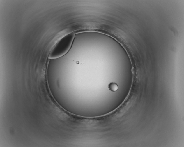 X0000113911081200910081845