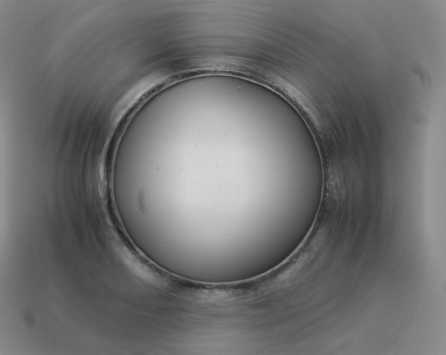 X0000113911082200910081845