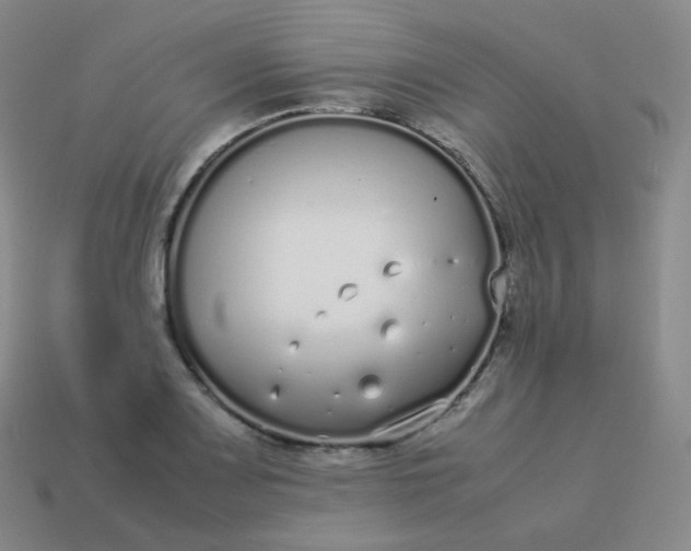 X0000113911083200910081845