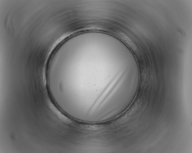 X0000113911084200910081845