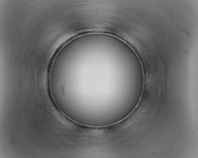 X0000113911085200910081845