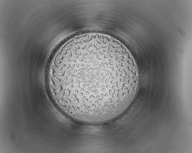 X0000113911086200910081845