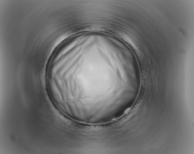 X0000113911087200910081845