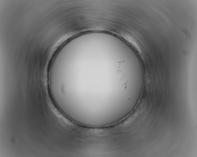 X0000113911088200910081845