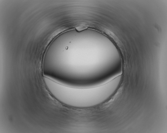 X0000113911089200910081845