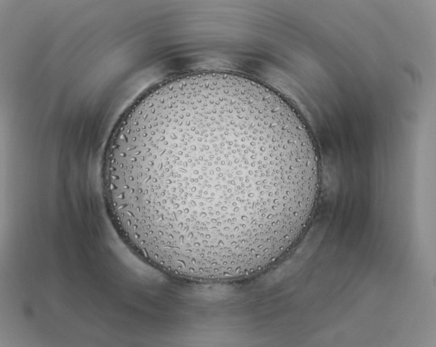 X0000113911090200910081845