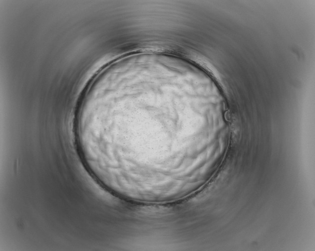 X0000113911091200910081845