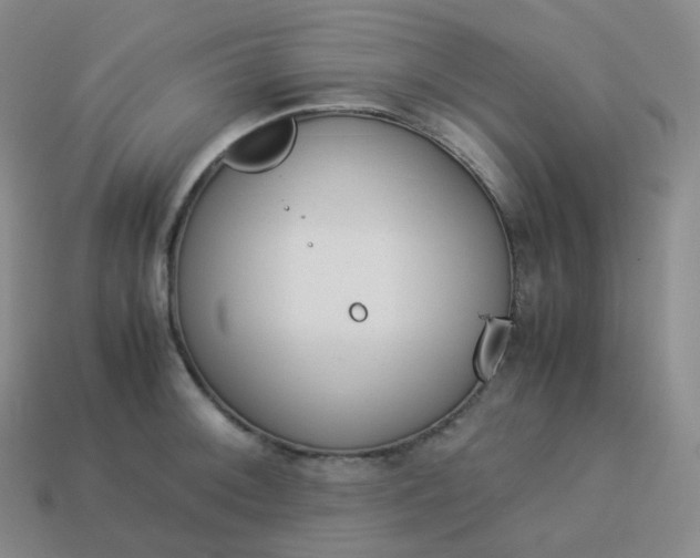 X0000113911092200910081845