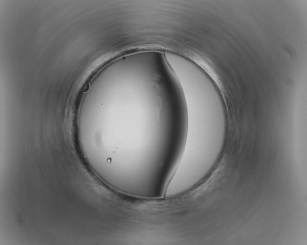 X0000113911093200910081845