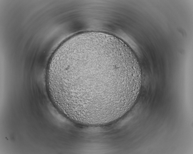 X0000113911094200910081845