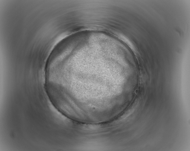 X0000113911095200910081844