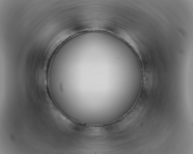 X0000113911096200910081844