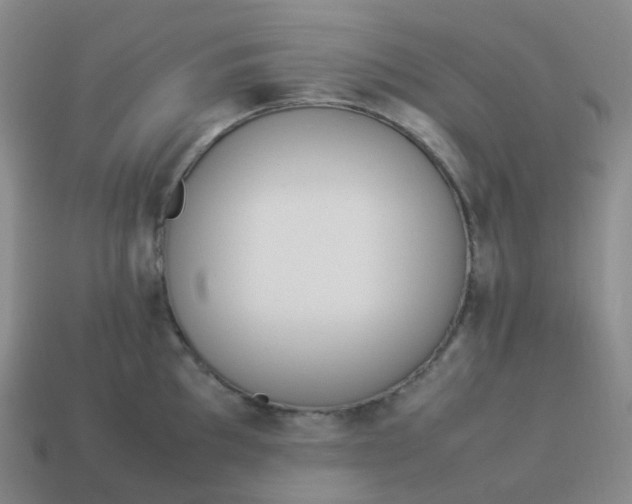 X0000113911097200910081844