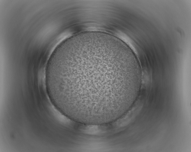 X0000113911098200910081844