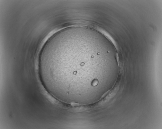 X0000113911099200910081844