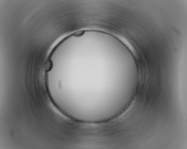 X0000113911100200910081844