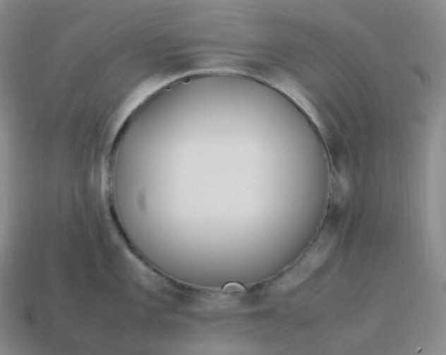 X0000113911101200910081844