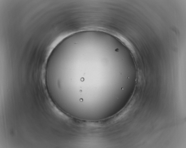 X0000113911102200910081844