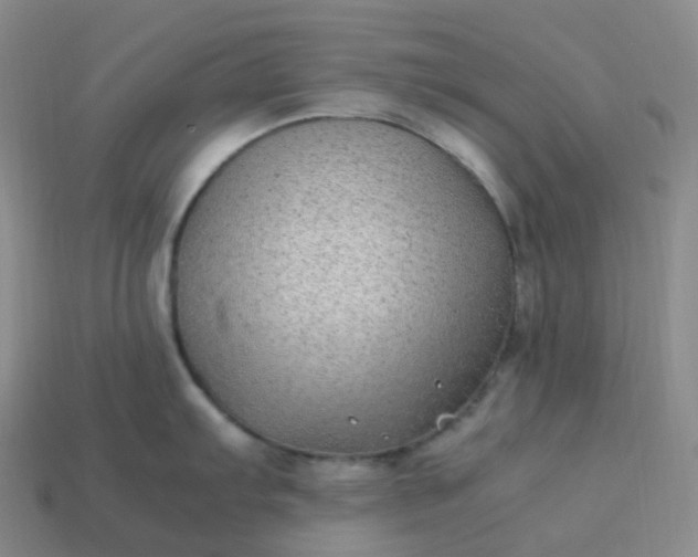 X0000113911103200910081844