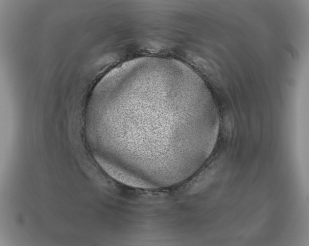 X0000113911105200910081844