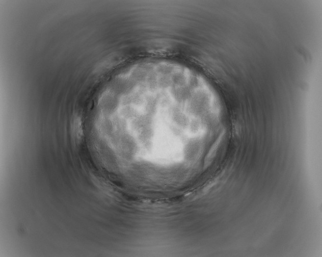 X0000113911106200910081844