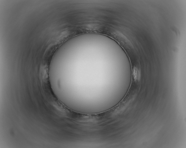 X0000113911107200910081844