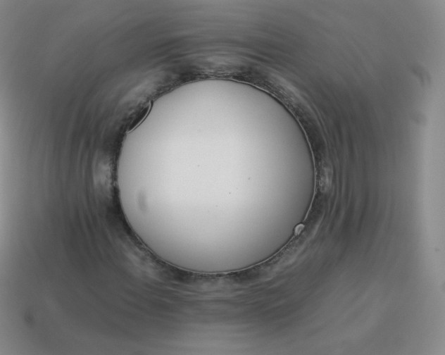 X0000113911108200910081844