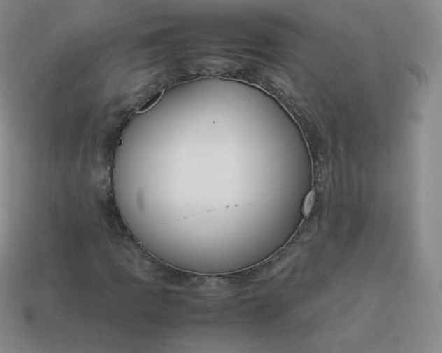 X0000113911109200910081844