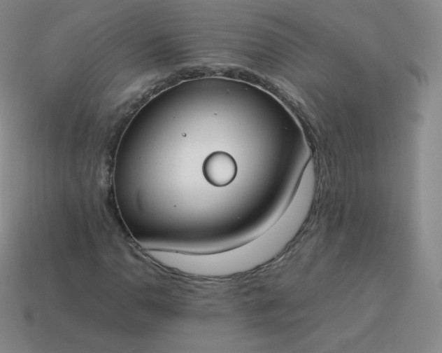 X0000113911110200910081844