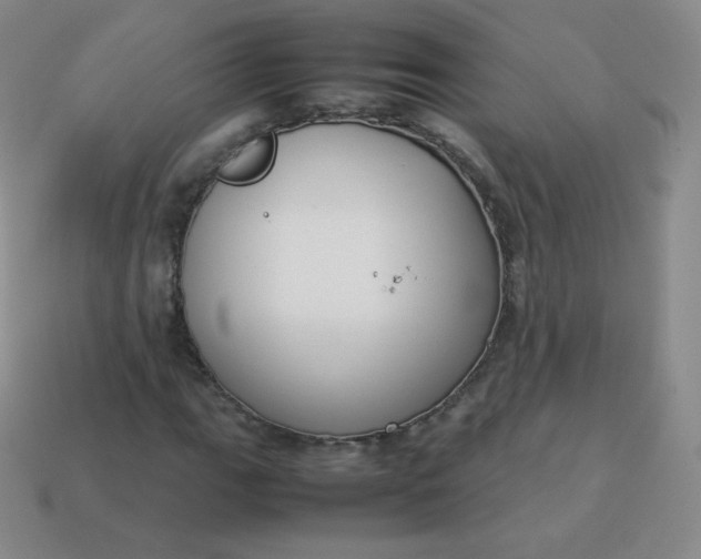 X0000113911111200910081844