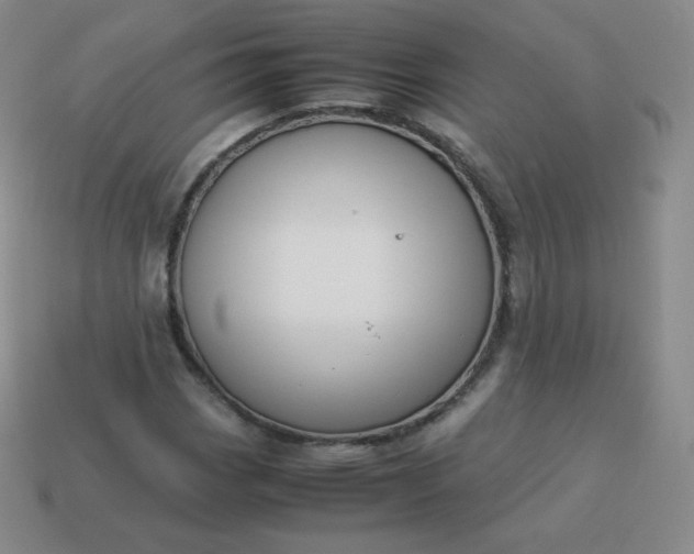 X0000113911113200910081844