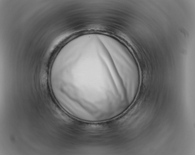 X0000113911115200910081844