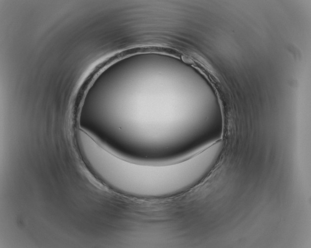 X0000113911116200910081844