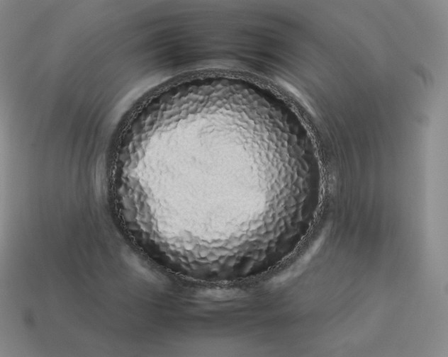 X0000113911117200910081844