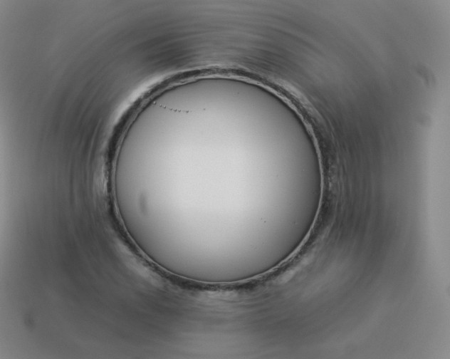 X0000113911118200910081844