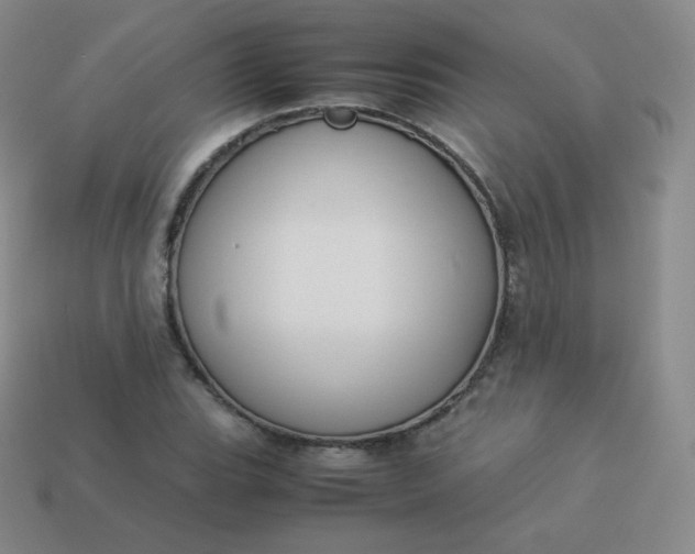 X0000113911119200910081844