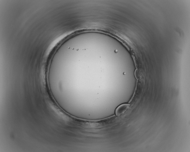 X0000113911120200910081844