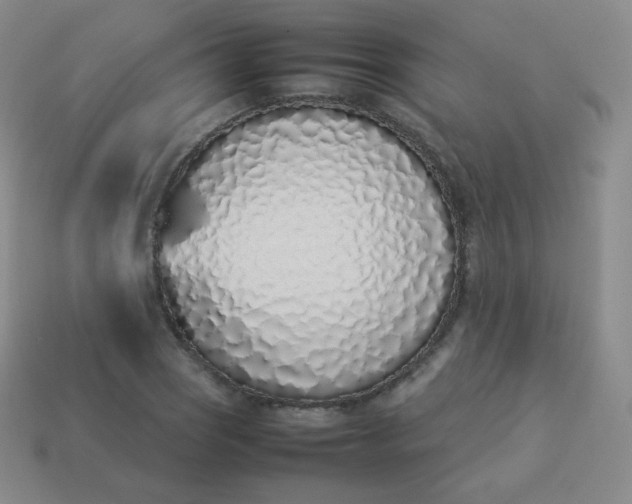 X0000113911121200910081844