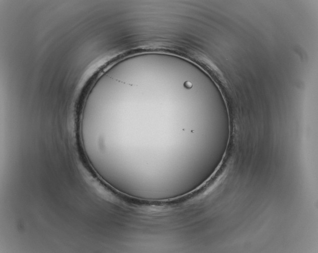 X0000113911122200910081844