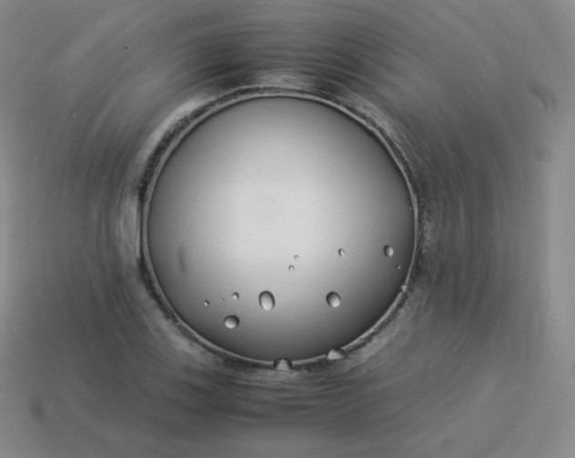 X0000113911123200910081844