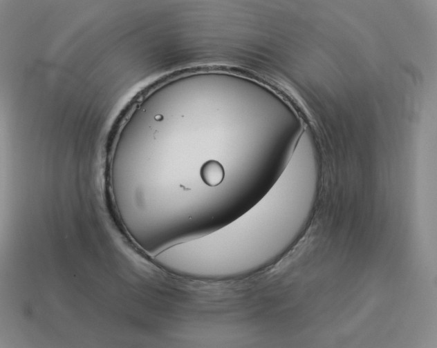 X0000113911124200910081844