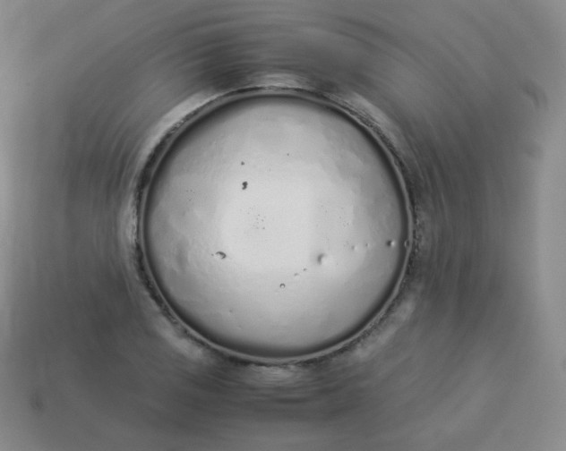 X0000113911125200910081844