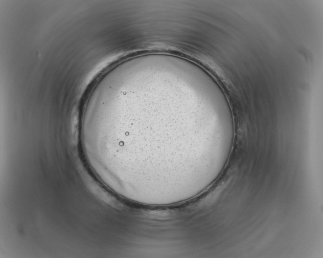 X0000113911126200910081844