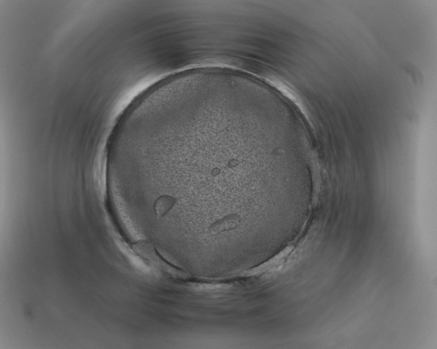 X0000113911127200910081844