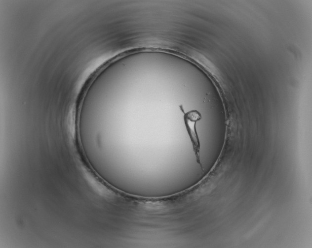 X0000113911128200910081844