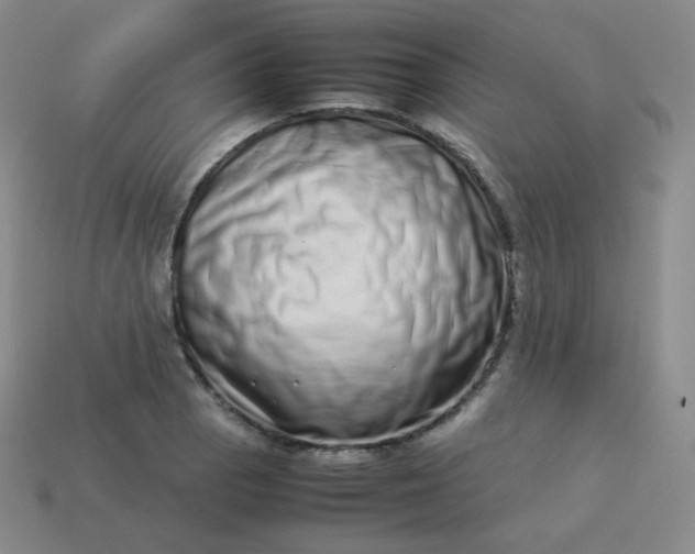 X0000113911129200910081844