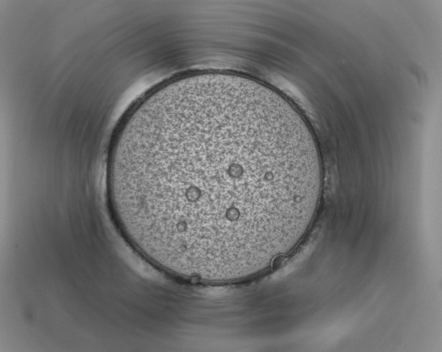 X0000113911130200910081844