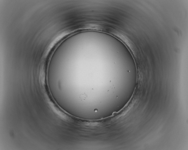 X0000113911131200910081844